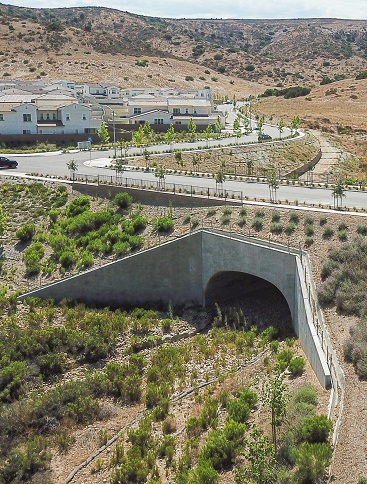 cast-in-place concrete arch