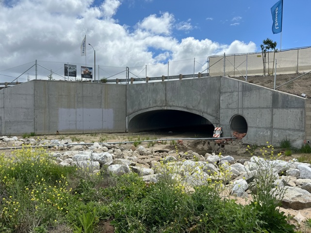 Adobe Springs Installed